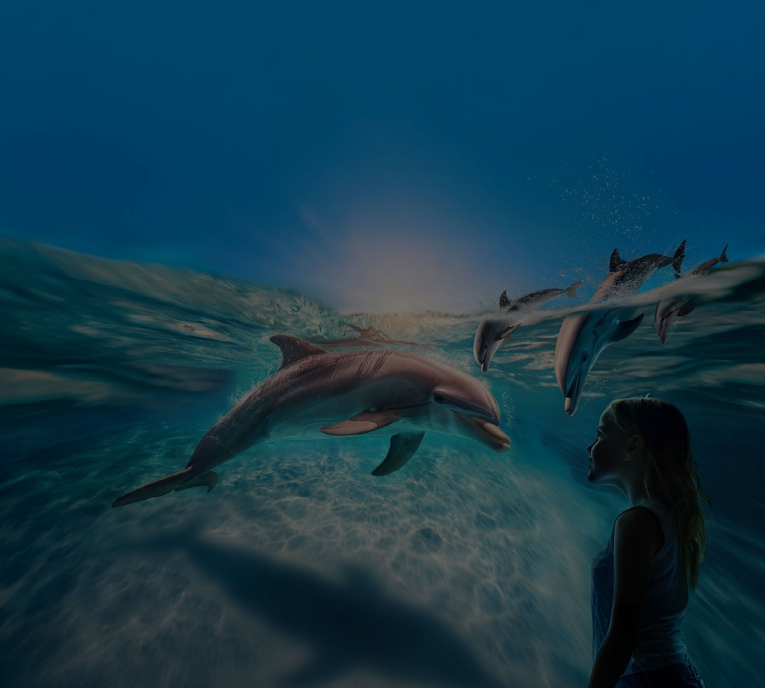 Oltremare.. La rivoluzione è cominciata