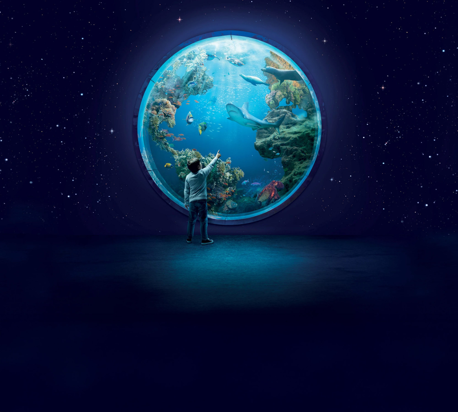 Oltremare.. La rivoluzione è cominciata